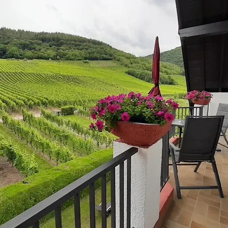 Haus Weingarten Appartement