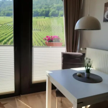 Apartment Haus Weingarten