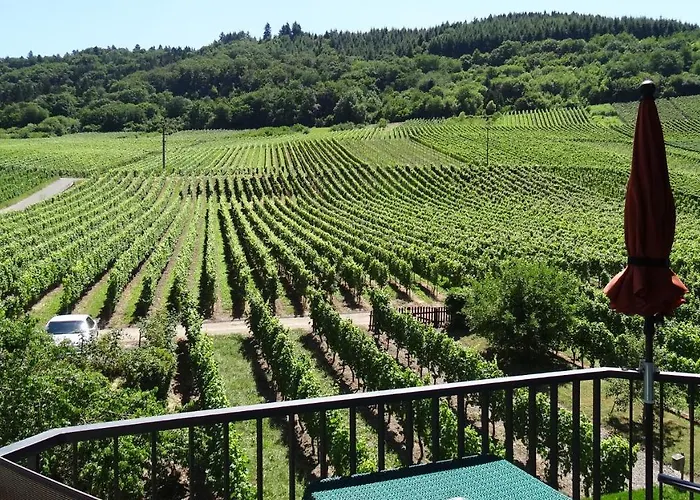 Apartamento Haus Weingarten *