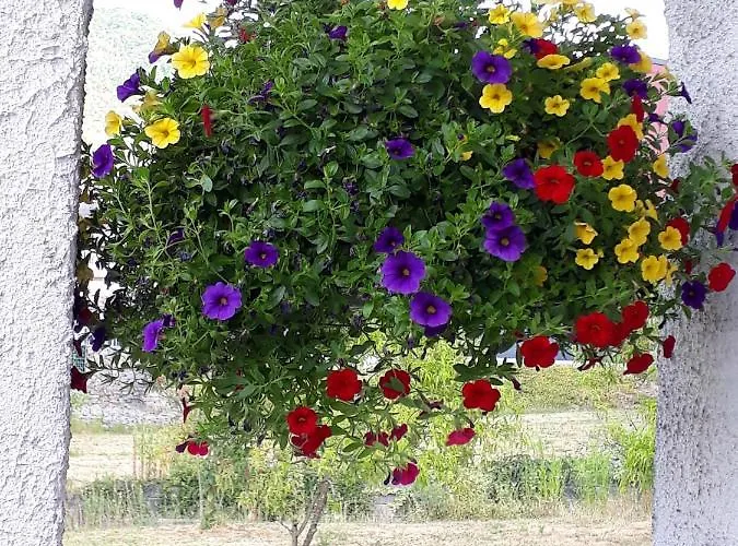 Apartamento Haus Weingarten *