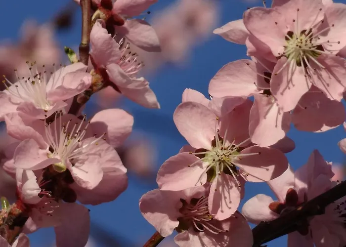 Haus Weingarten * Ernst